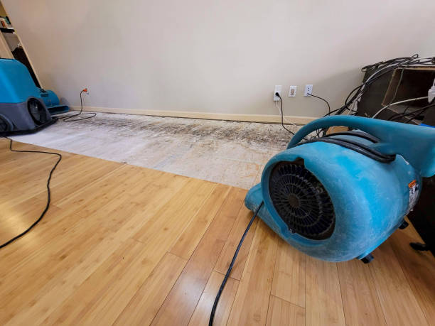 Professional Water Extraction technician working in Independence, MN